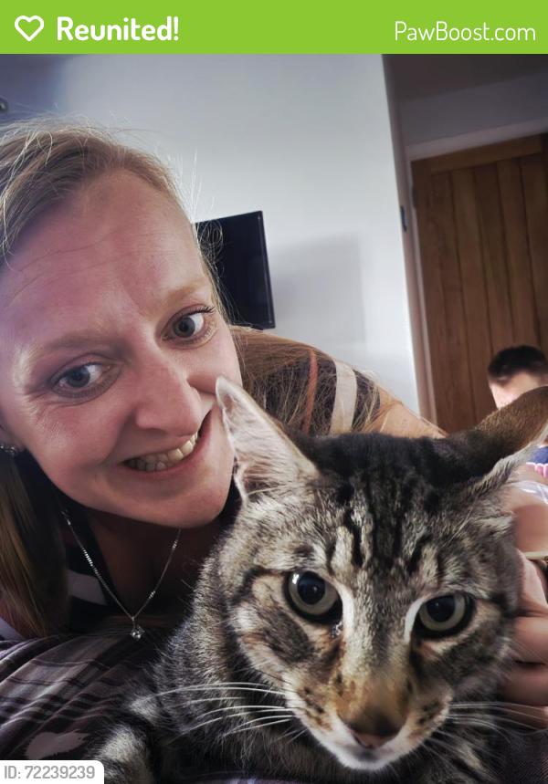 Reunited Male Cat last seen Mucklestone Wood Lane, Loggerheads, England TF9 4DY