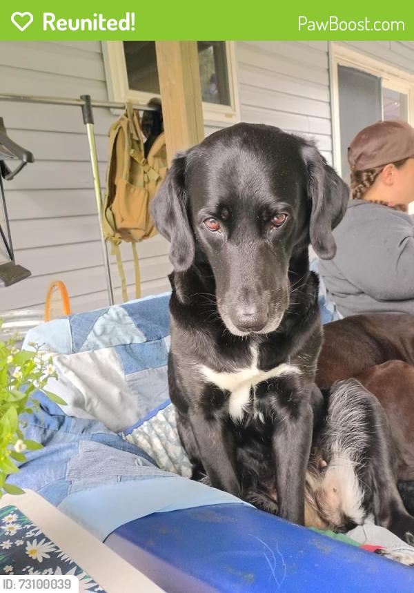 Reunited Female Dog last seen Mountain Drive, Fredericksburg, PA 17026
