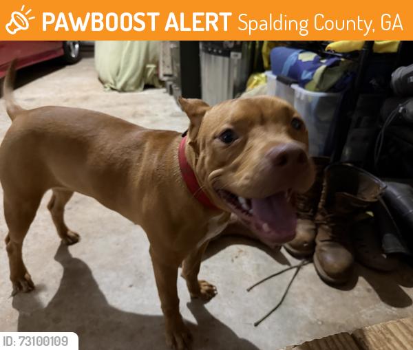 Found/Stray Female Dog last seen Amelia rd bridge, Spalding County, GA 30248