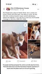 Lost Male Dog last seen Near Heekin Rd, Williamstown, KY 41097, Williamstown, KY 41097