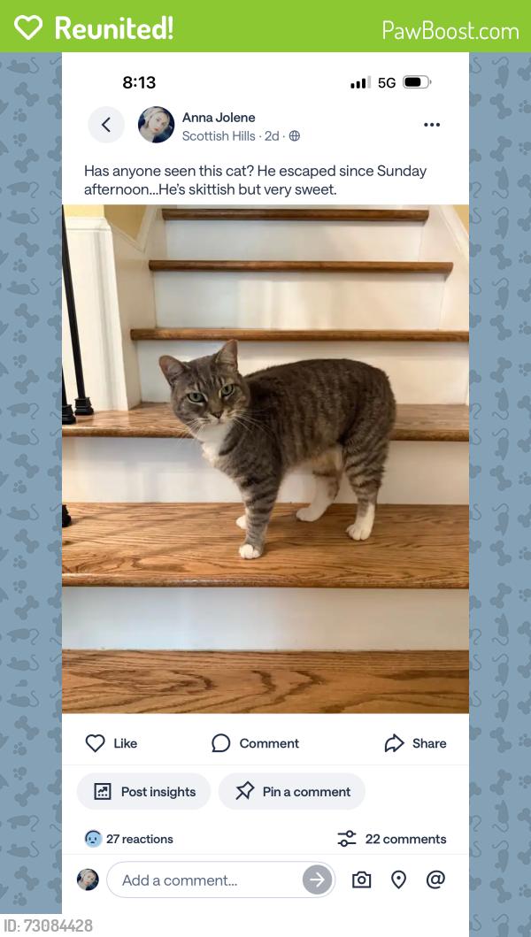 Reunited Male Cat last seen Lake pine dr and SW Cary Pkwy, Cary, NC 27511