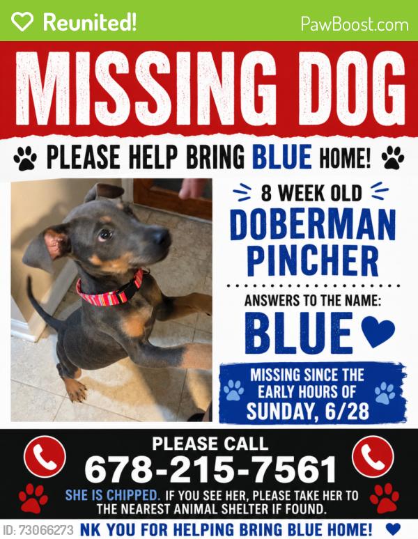 Reunited Female Dog last seen Kyles Cir & Mary Dean, Hiram, GA 30141