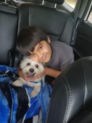 Reunited Female Dog last seen Michael drive , Douglasville, GA 30134