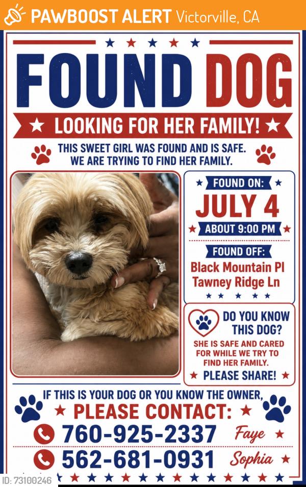 Found/Stray Female Dog last seen Black mountain, Victorville, CA 92394
