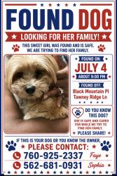 Found/Stray Female Dog last seen Black mountain, Victorville, CA 92394