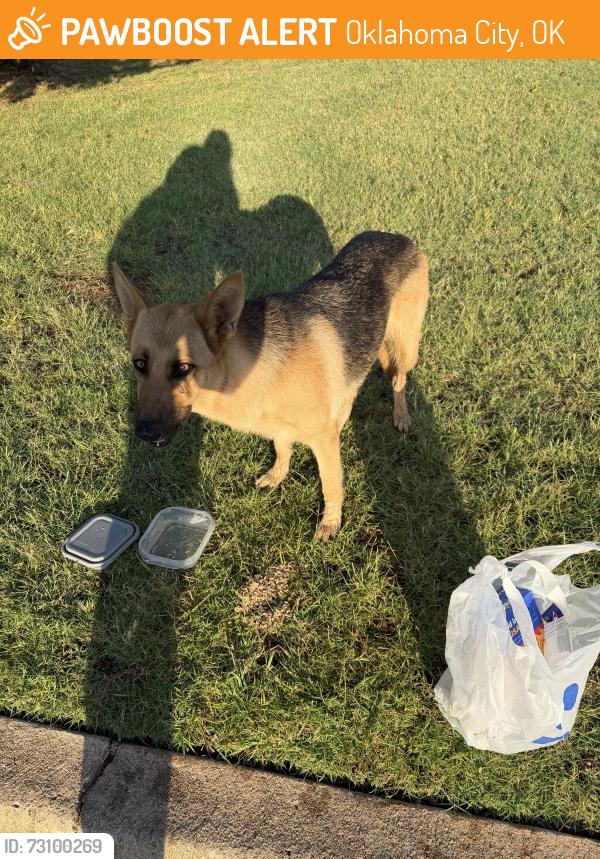 Found/Stray Unknown Dog last seen 59th and walker, Oklahoma City, OK 73139