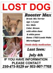 Reunited Male Dog last seen Stahl road and Green mountain, San Antonio, TX 78247