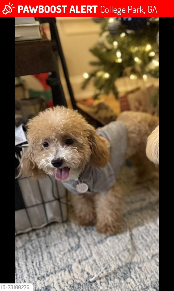 Lost Female Dog last seen Creekside neighborhood. Scarborough rd, College Park, GA 30349