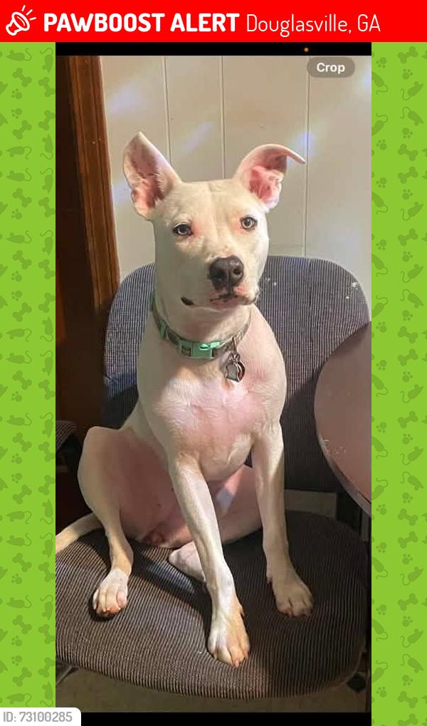 Lost Female Dog last seen North Barnett Hickory Road and Maroney Mill, Douglasville, GA 30134