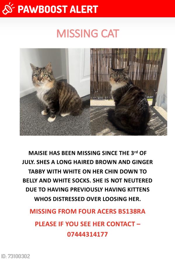 Lost Female Cat last seen Four Acers Road, Bristol City, England BS13 8RA