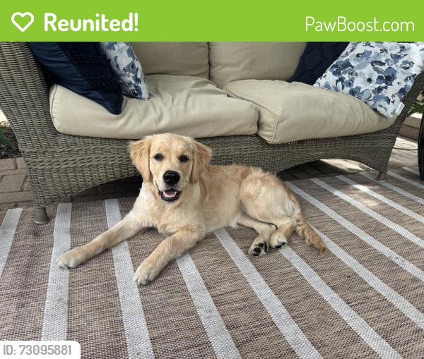Reunited Female Dog last seen Peck road and route 64, St. Charles, IL 60175