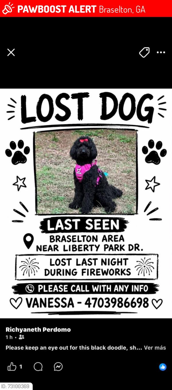 Lost Female Dog last seen Catalpa grove, Braselton, GA 30517