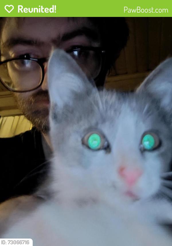 Reunited Unknown Cat last seen A hse across the street by woods, Lillington, NC 27546