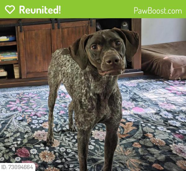 Reunited Female Dog last seen Off rt 565 near Lake Glenwood, Sussex, NJ 07461