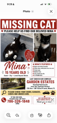 Lost Female Cat last seen Near ave sw 120 st, Kendall, FL 33176