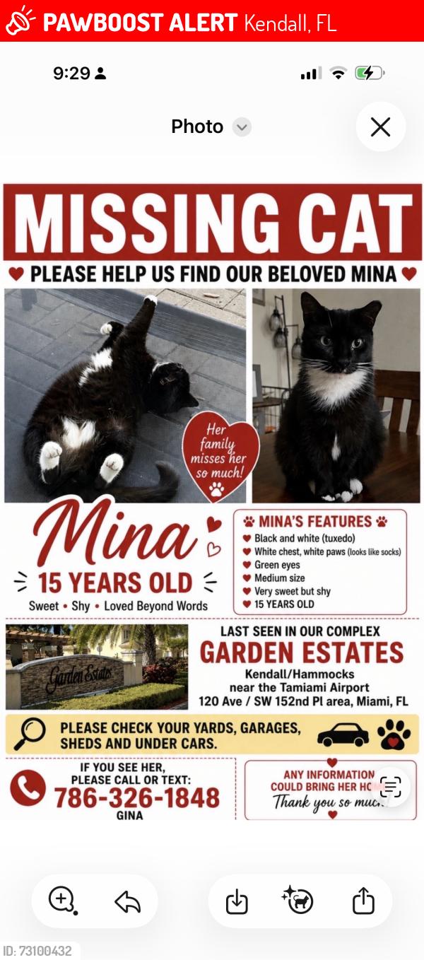 Lost Female Cat last seen Near ave sw 120 st, Kendall, FL 33176