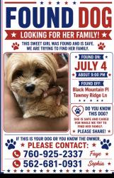 Found/Stray Female Dog last seen Mohican way, Victorville, CA 92394