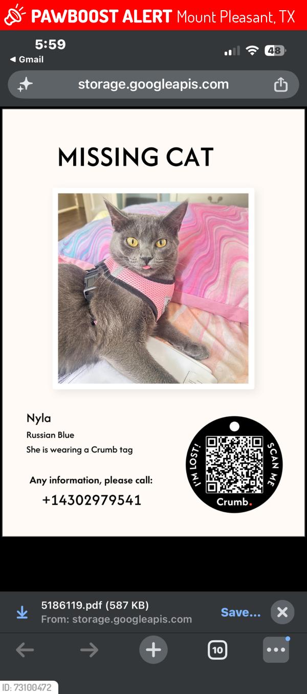 Lost Female Cat last seen Dellwood park, Mount Pleasant, TX 75455
