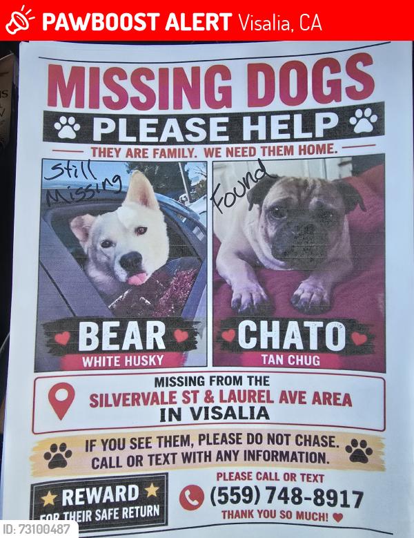 Lost Male Dog last seen Laurel Ave, Visalia, CA 93291