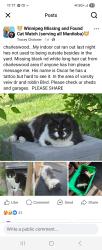 Lost Male Cat last seen Varsity veiw drive nd roblin, Winnipeg, MB 