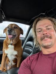 Lost Male Dog last seen County rd 36 county rd 81, Robstown, TX 78380
