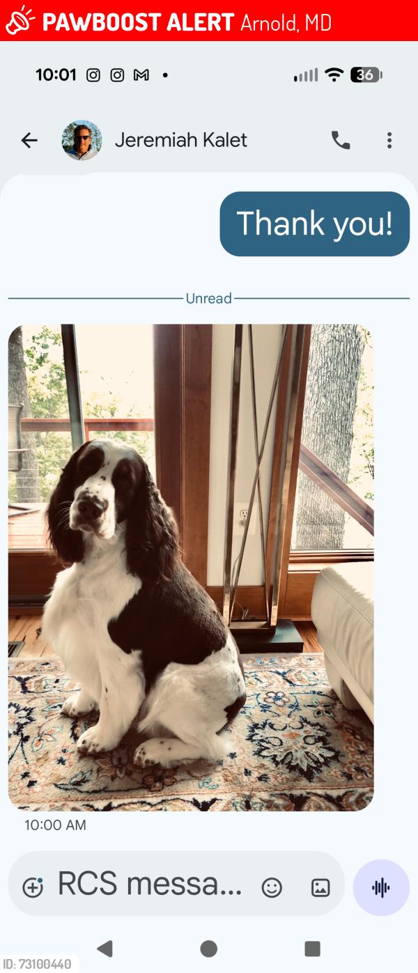 Lost Male Dog last seen Near Point Way, Arnold, MD 21012