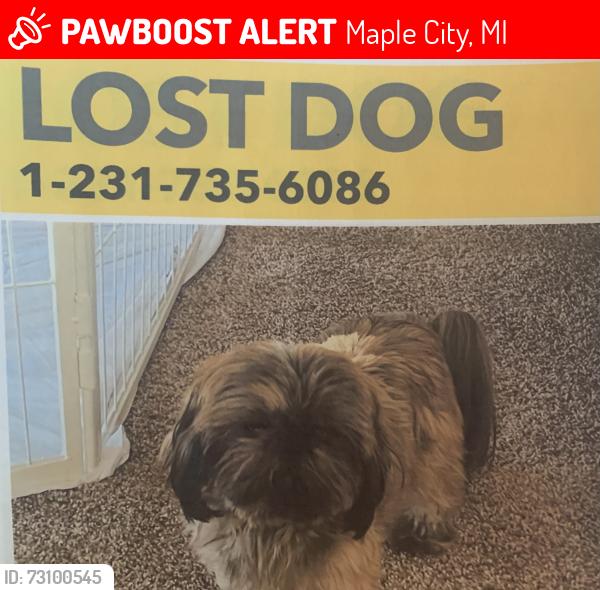 Lost Male Dog last seen Dunn’s Farm, Maple City, MI 49664
