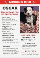 Lost Male Dog last seen Jam-min tees, Surry County, NC 27030