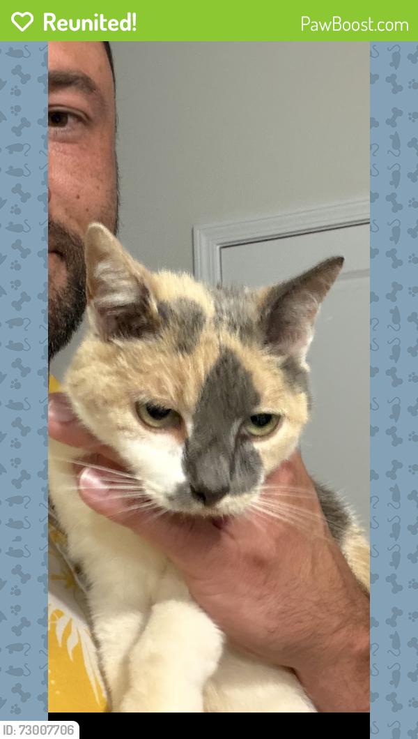 Reunited Female Cat last seen On Rivergate Rd, Fayetteville, NC 28304
