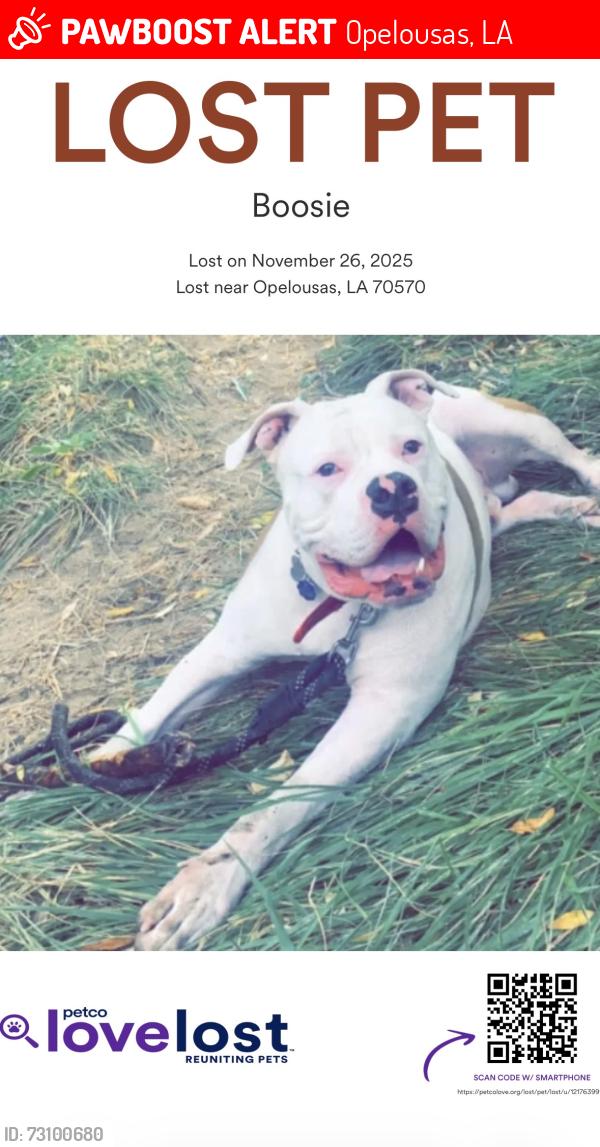 Lost Male Dog last seen Dr. Charlie Drive Opelousas, Opelousas, LA 70570