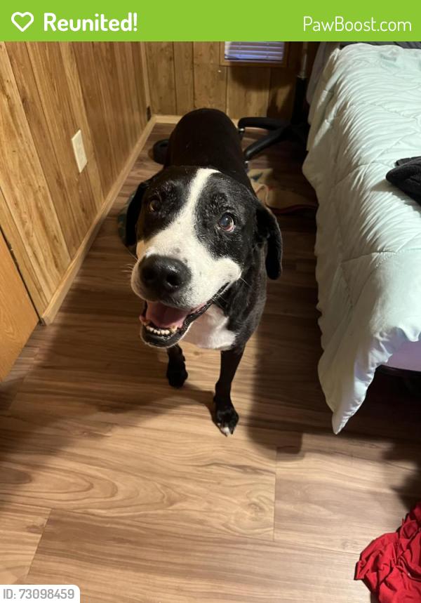 Reunited Male Dog last seen S frontage rd plant city fl , Plant City, FL 33563