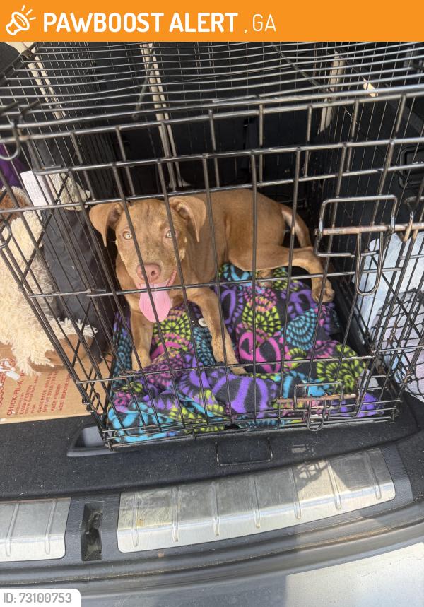 Found/Stray Female Dog last seen Alabama, Georgia state line, Waco, GA 30182