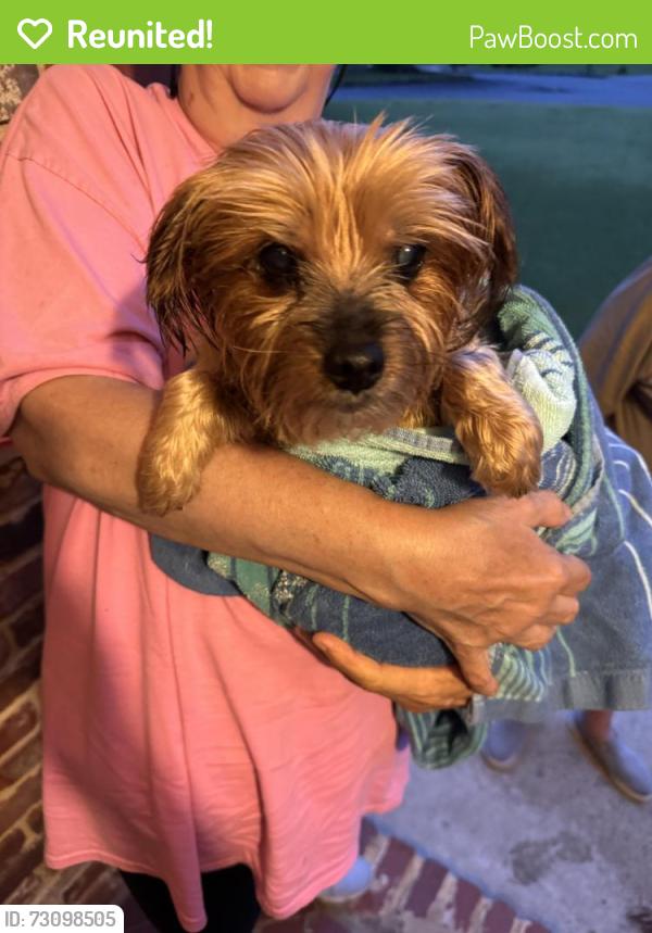 Reunited Unknown Dog last seen Near Briarcliff and Shallowford, Atlanta, GA 30345