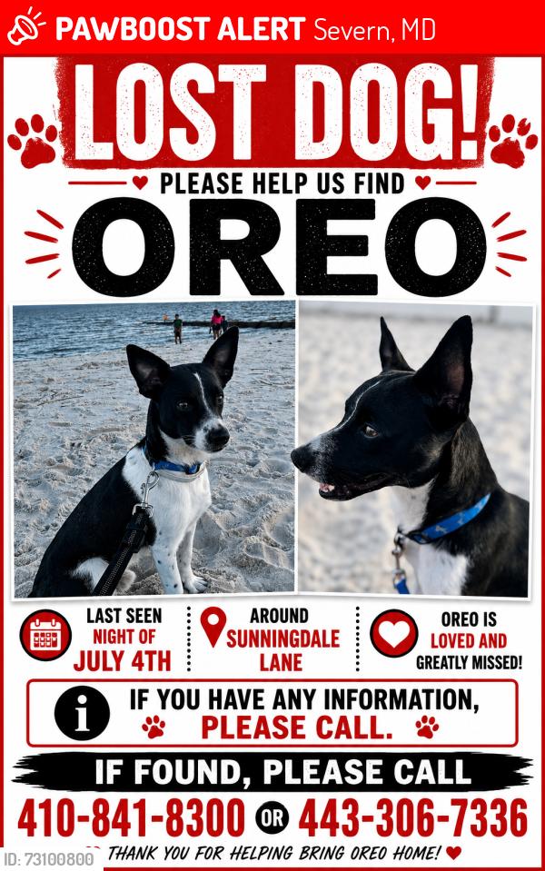 Lost Male Dog last seen Dor, Severn, MD 21076