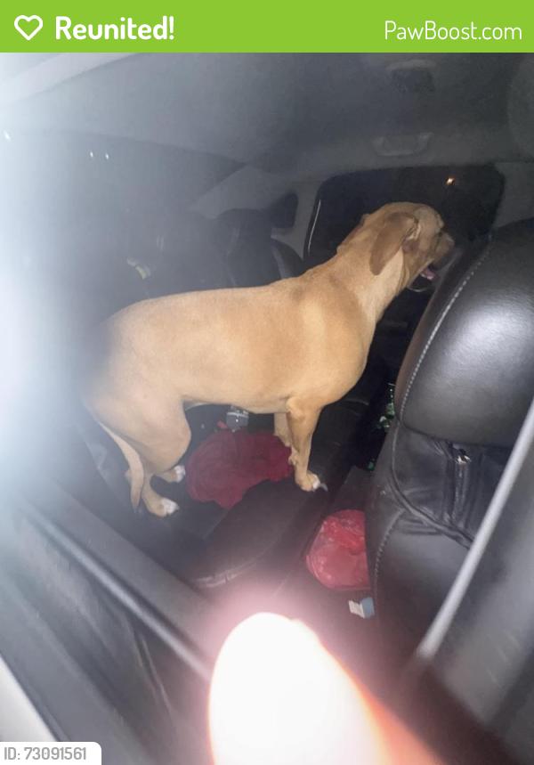 Reunited Female Dog last seen Falcon bridge and chatteri, Columbus, OH 43232