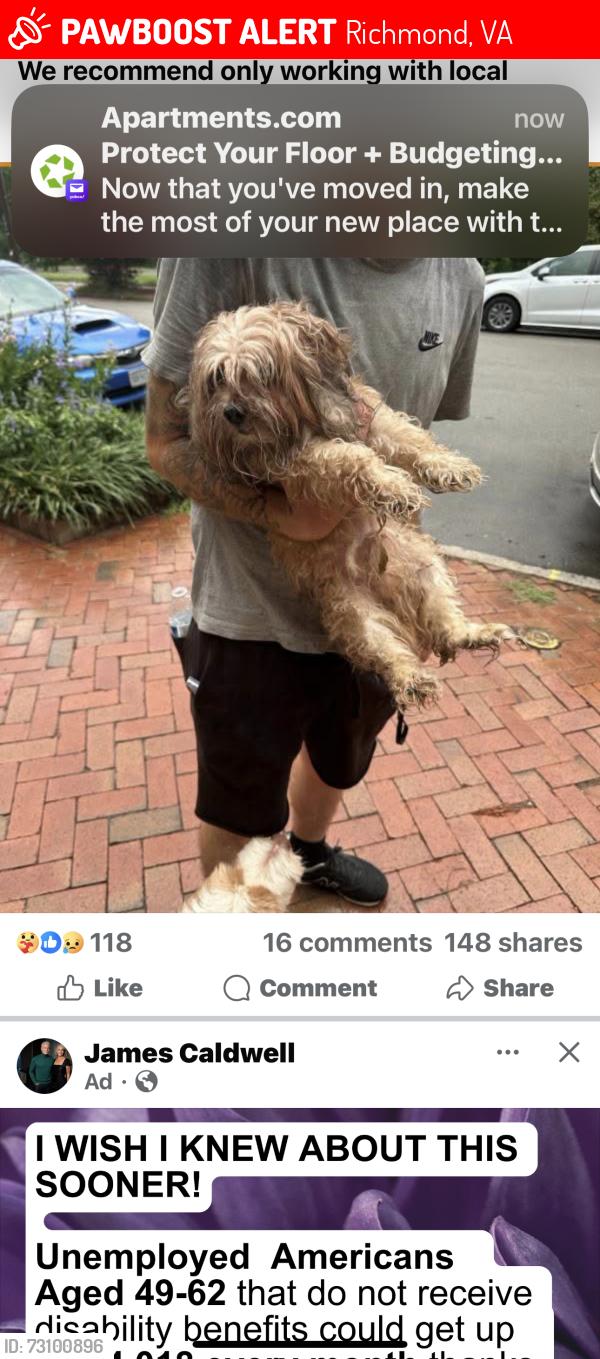 Lost Male Dog last seen 29th street, Richmond, VA 23223