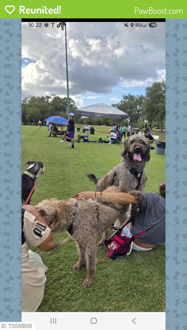 Reunited Male Dog last seen Goldenrod and lake underhill , Orlando, FL 32822