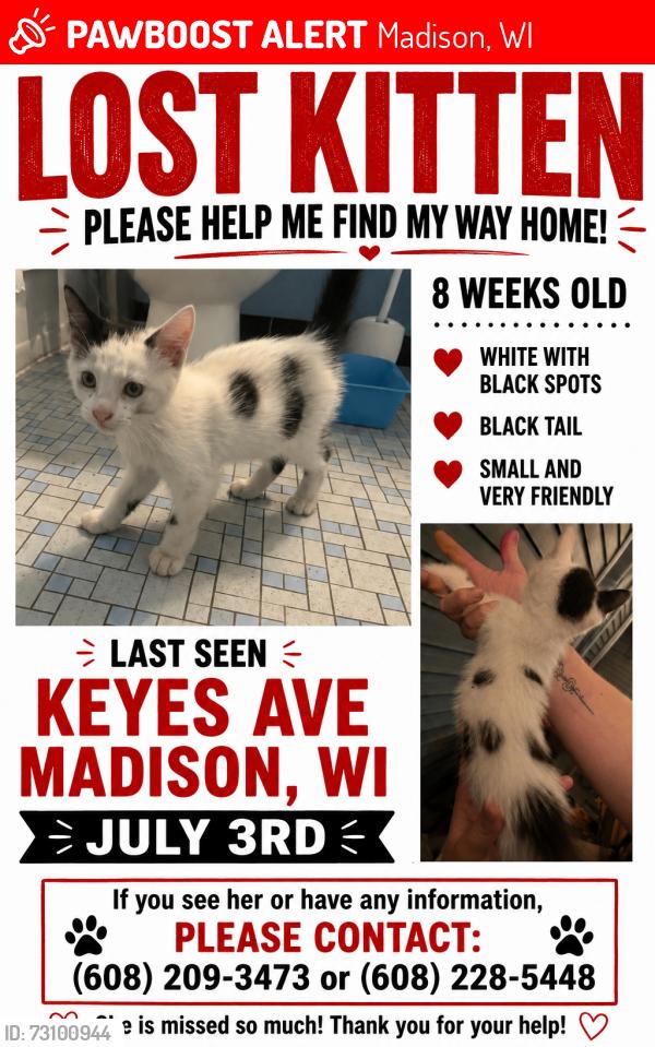 Lost Unknown Cat last seen Trader Joe’s, Madison, WI 53711