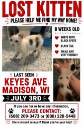 Lost Unknown Cat last seen Trader Joe’s, Madison, WI 53711