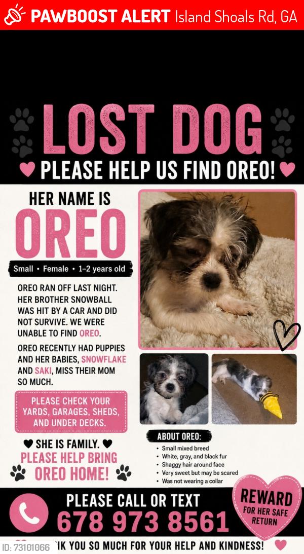 Lost Female Dog last seen Island Shoals and Hwy 212, Island Shoals Rd, GA 30016