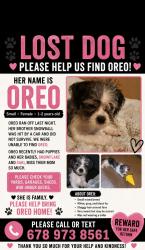 Lost Female Dog last seen Island Shoals and Hwy 212, Island Shoals Rd, GA 30016