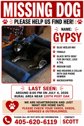 Reunited Female Dog last seen Post oak 120th, Norman, OK 73026