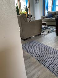 Lost Female Dog last seen Howard, Grand Rapids, MI 49507