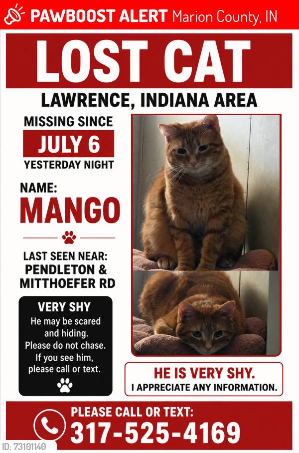 Lost Male Cat last seen N mitthoefer rd, Marion County, IN 46236