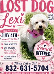 Lost Female Dog last seen Benthos dr and bassford dr, Houston, TX 77083