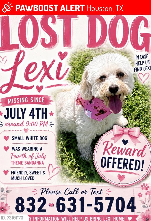 Lost Female Dog last seen Benthos dr and bassford dr, Houston, TX 77083