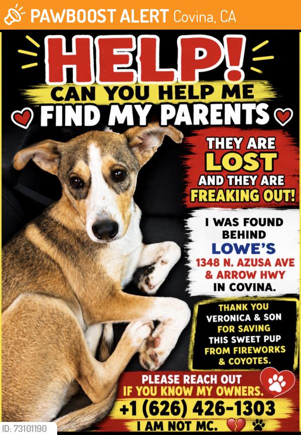 Found/Stray Male Dog last seen N. Azusa Ave & Arrow HWY., Covina, CA 91722