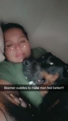 Lost Male Dog last seen Se 15 and hampton, Del City, OK 73115