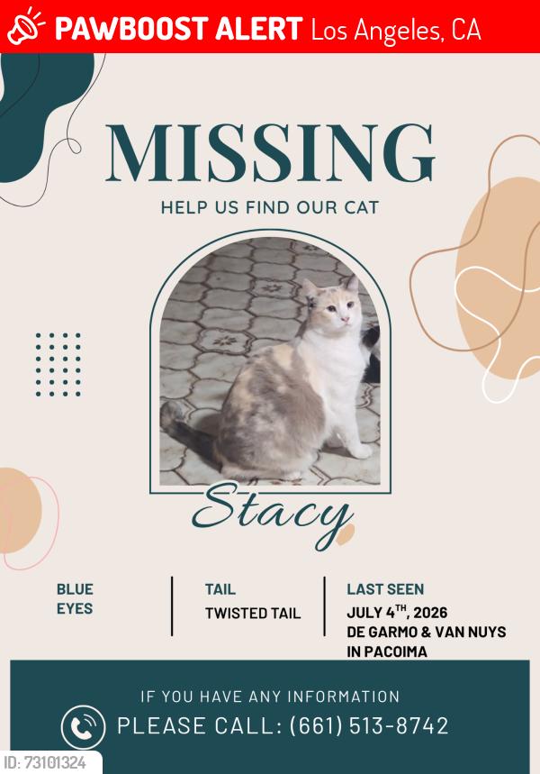 Lost Female Cat last seen De Garmo Ave and Pierce St, Los Angeles, CA 91331