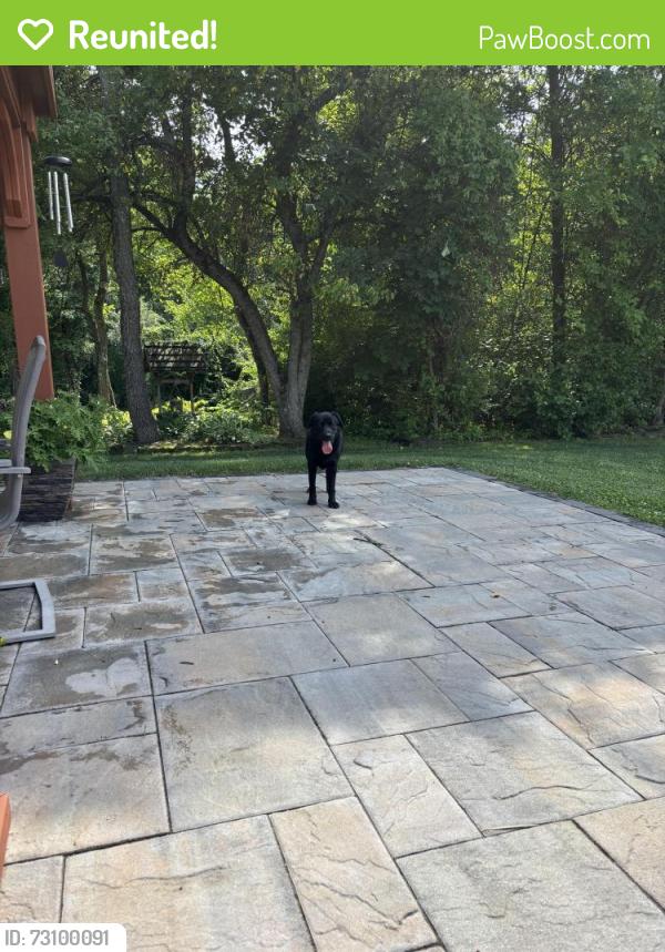 Reunited Male Dog last seen Rt 563, Salford Township, PA 18969